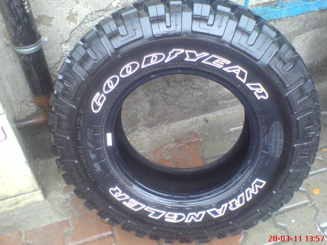 DSC01644.jpg