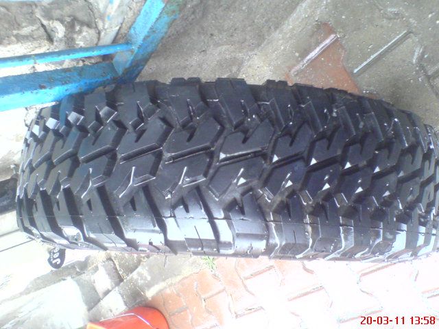 DSC01645.jpg