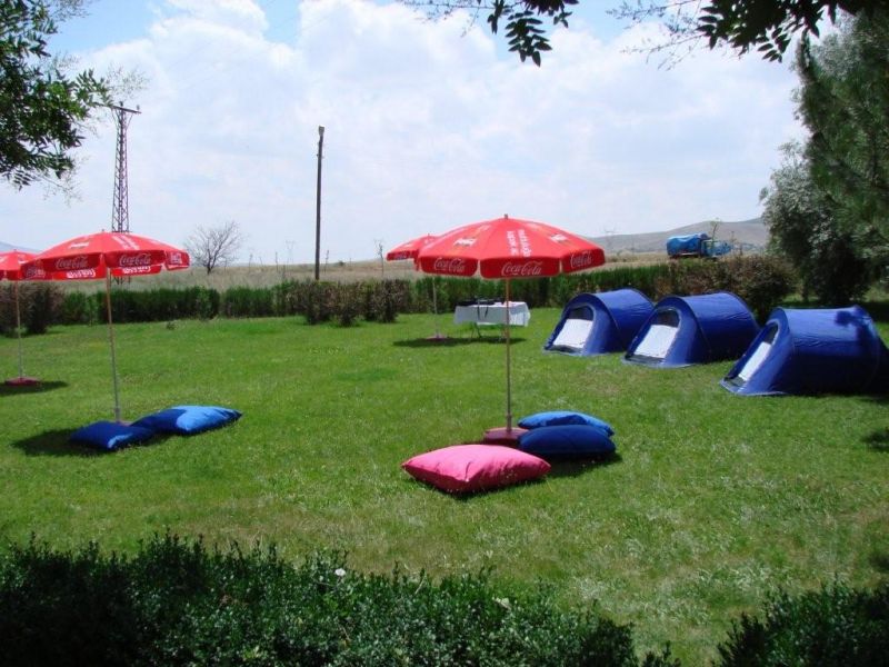 DSC01655.jpg
