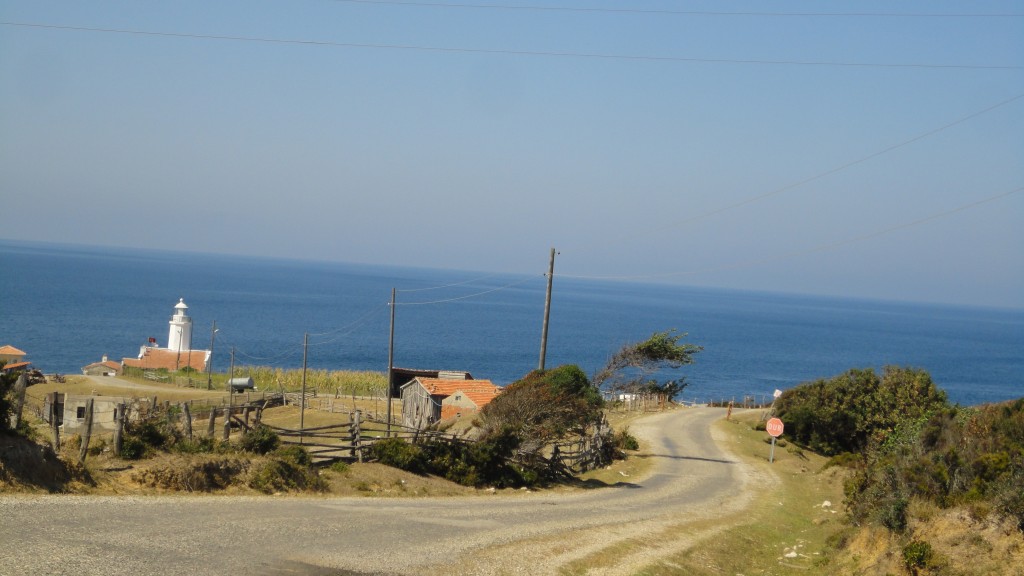 DSC01672.JPG