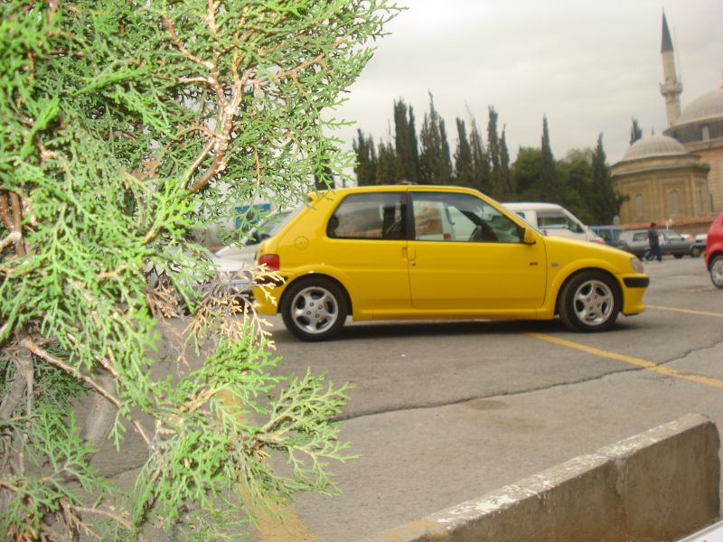DSC01688.jpg