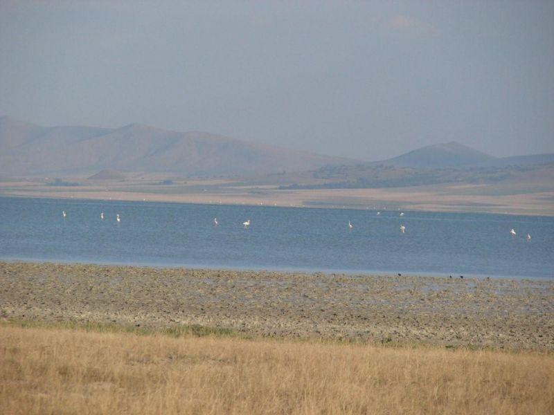 DSC01694.jpg