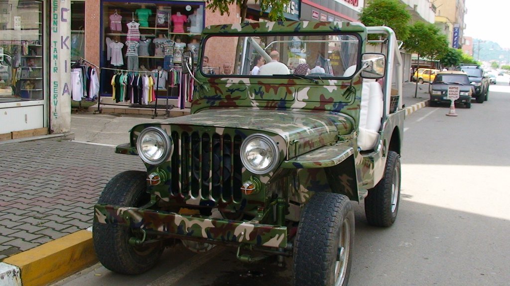DSC01729.JPG