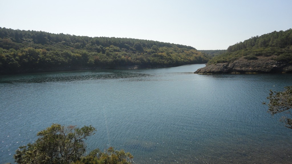 DSC01737.JPG