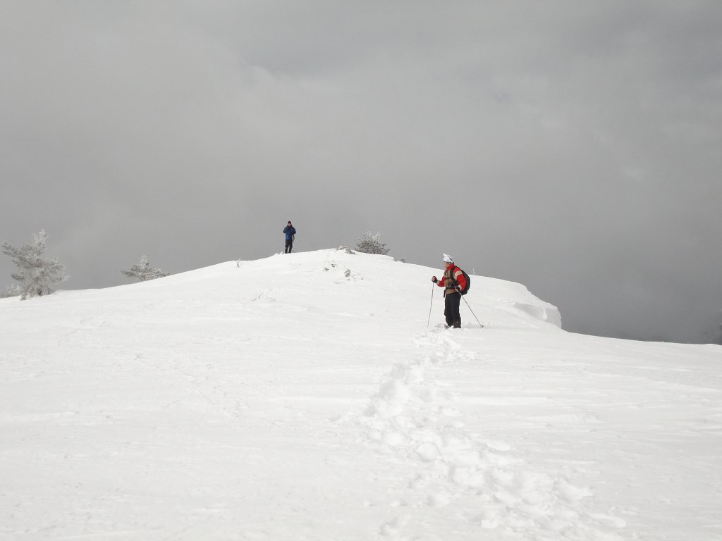 DSC01740.JPG
