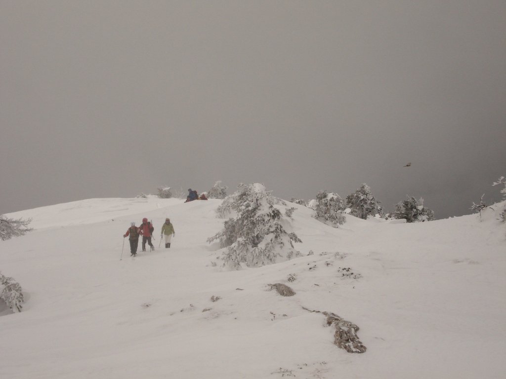 DSC01769.JPG