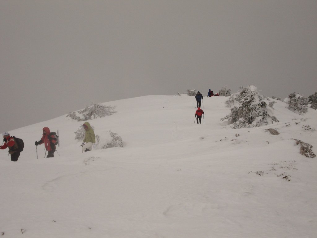 DSC01770.JPG