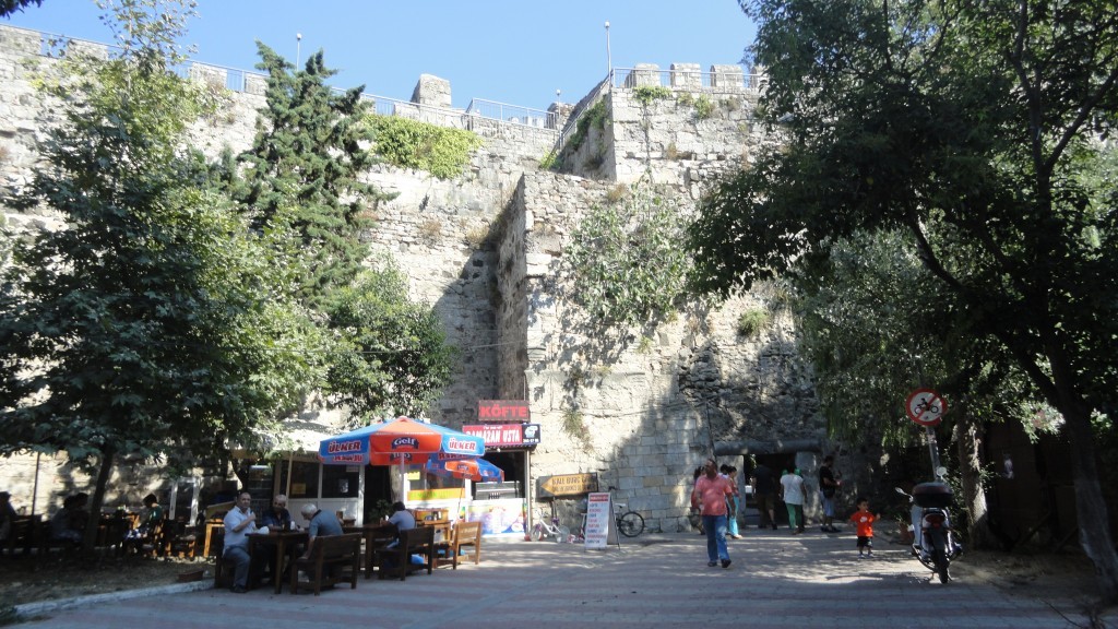DSC01779.JPG