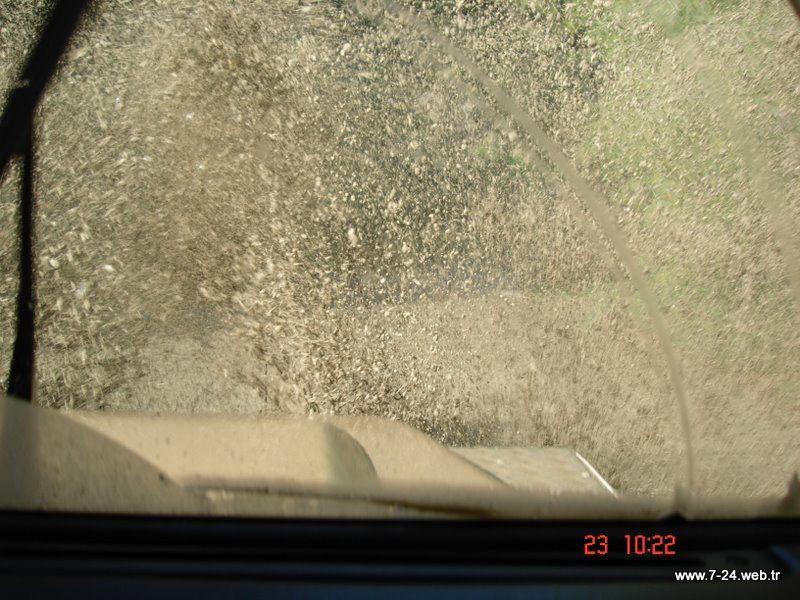 DSC01926.jpg