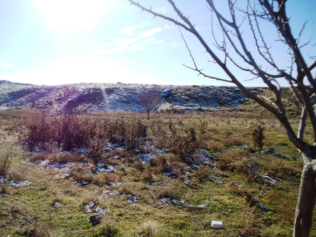DSC02001.JPG