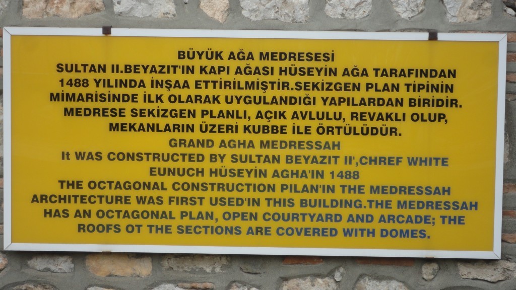 DSC02015.JPG