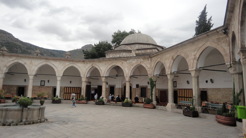 DSC02017.JPG