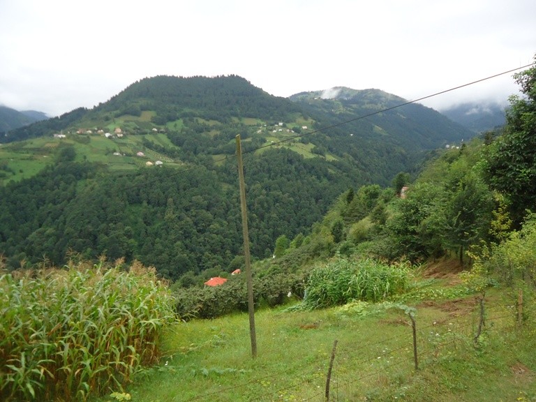 DSC02031.JPG