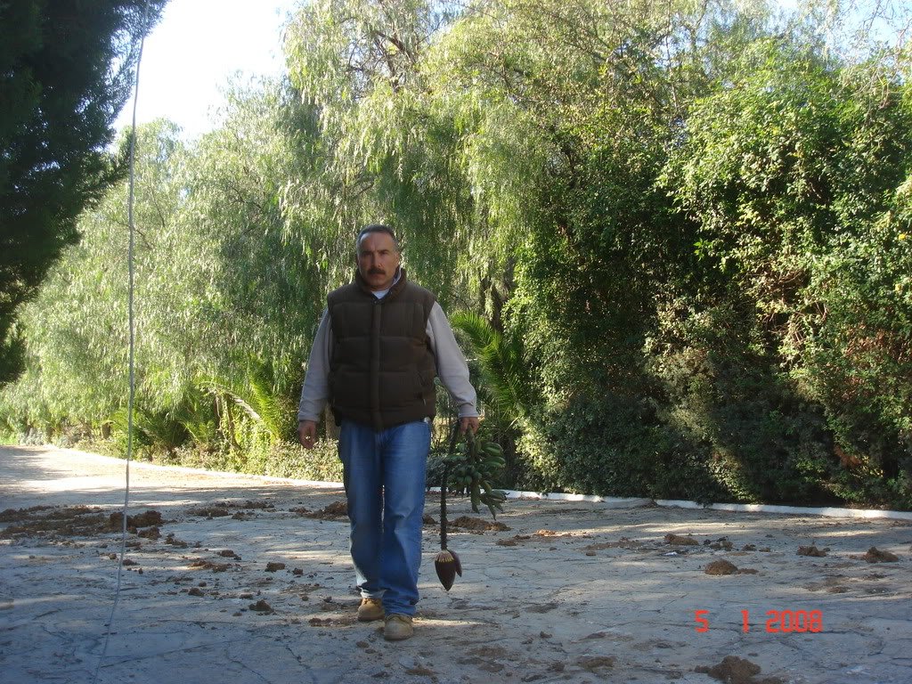 DSC02036.jpg