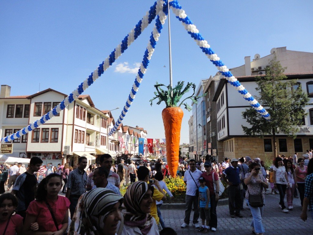 DSC02043.JPG