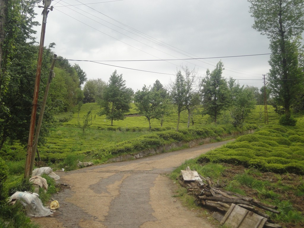 DSC02055.JPG