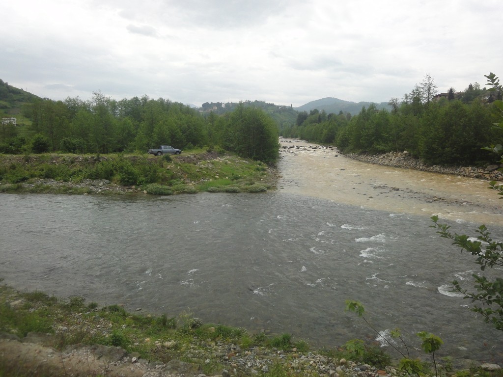 DSC02062.JPG