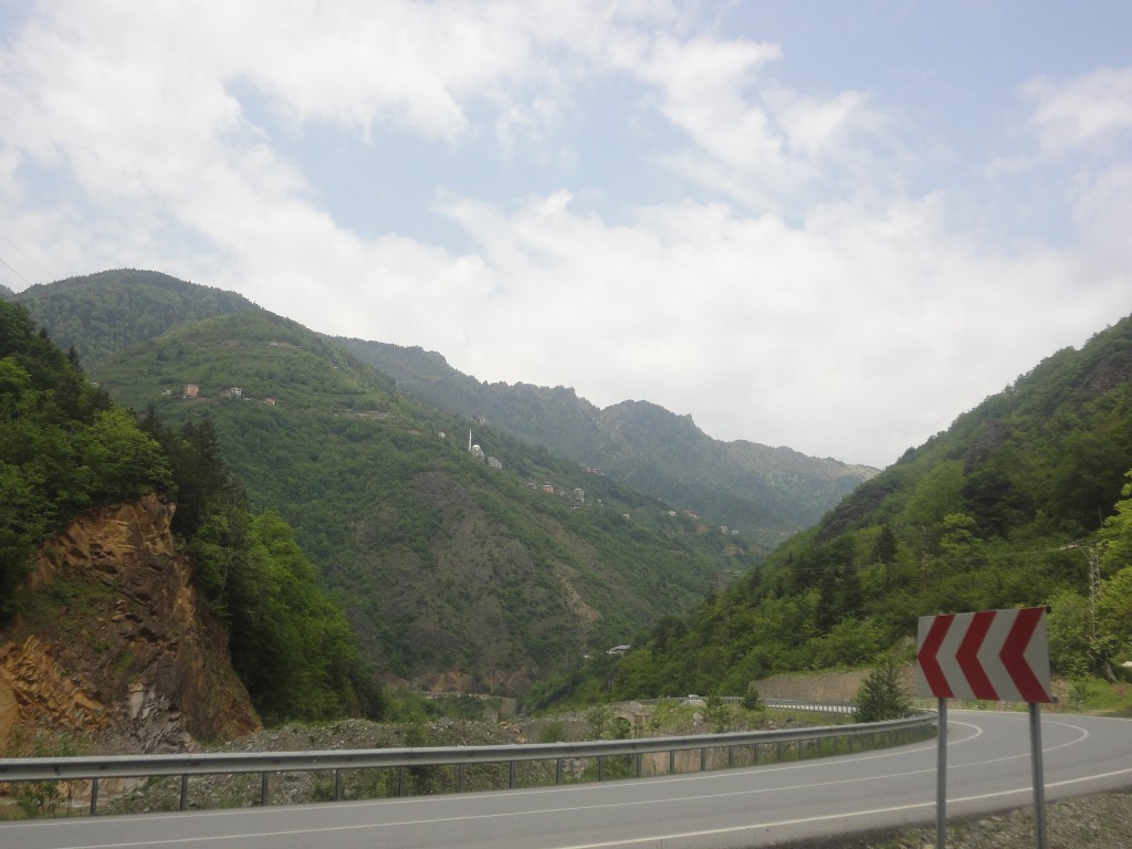 DSC02081.JPG