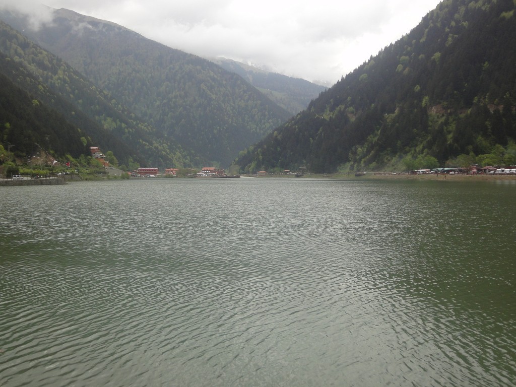 DSC02088.JPG