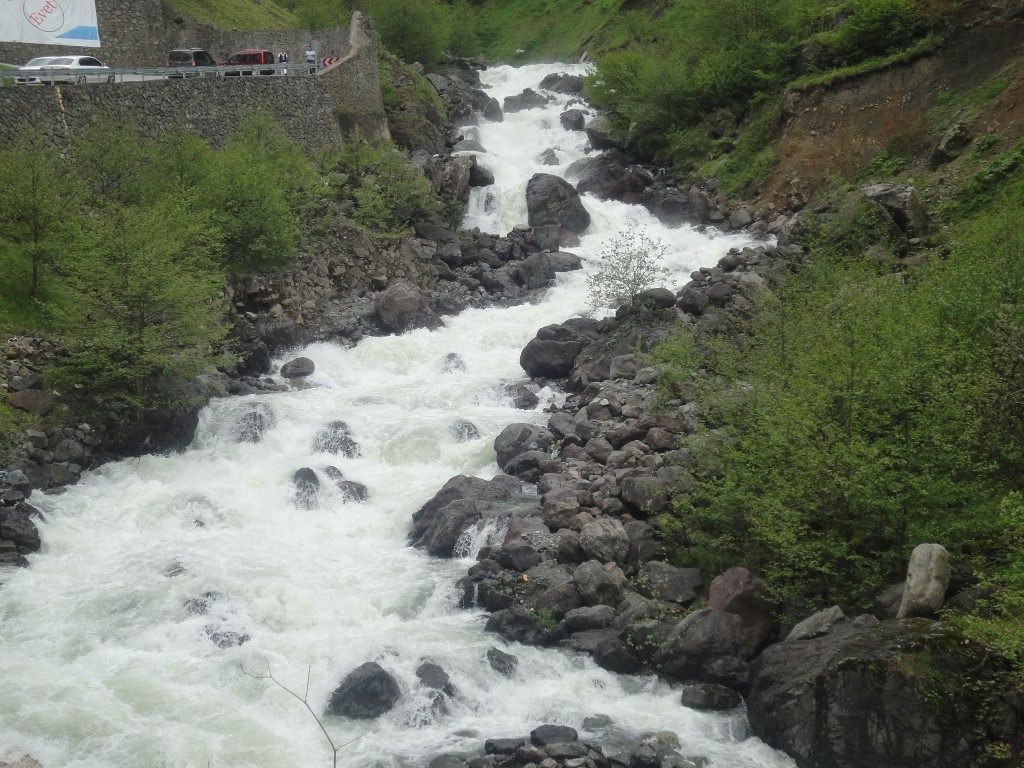 DSC02091.JPG