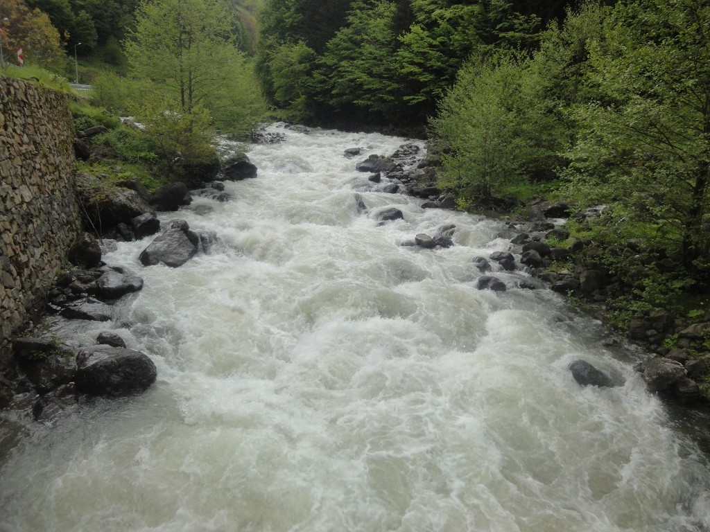 DSC02092.JPG