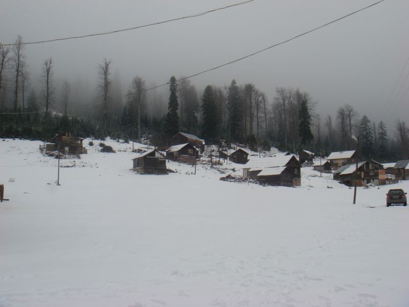 DSC02099.jpg