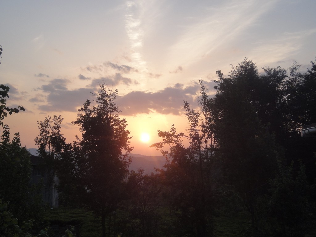 DSC02100.JPG