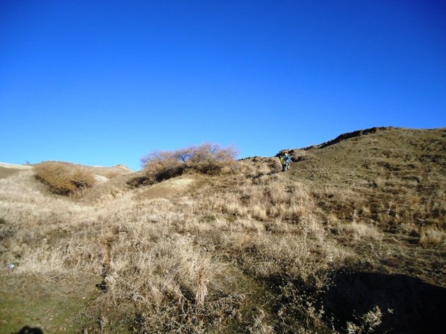 DSC02106.JPG
