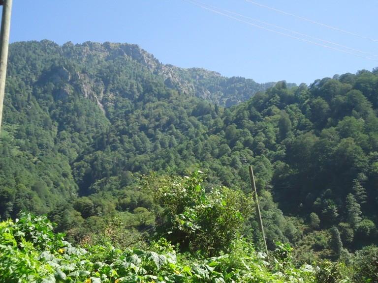 DSC02157.JPG