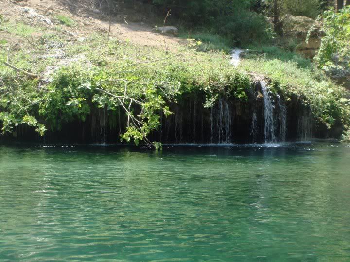 DSC02162.jpg