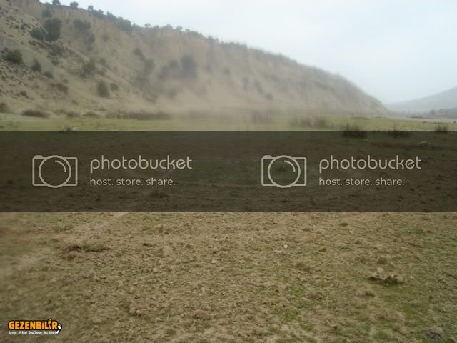 DSC02169.jpg