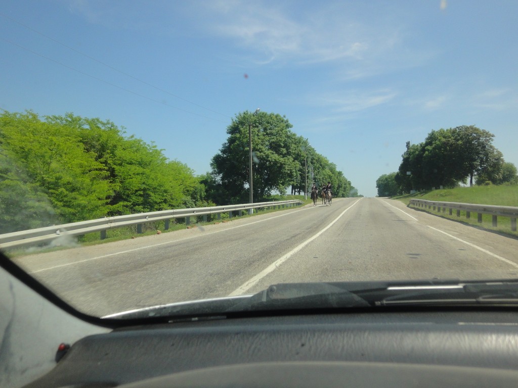 DSC02188.JPG