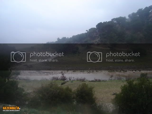 DSC02190.jpg