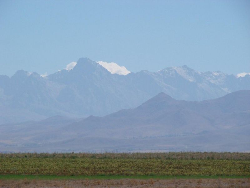 DSC02202.jpg