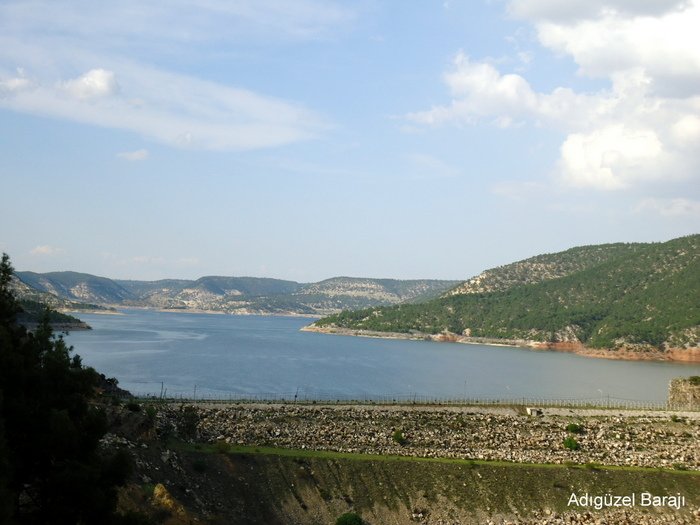 DSC02204.JPG