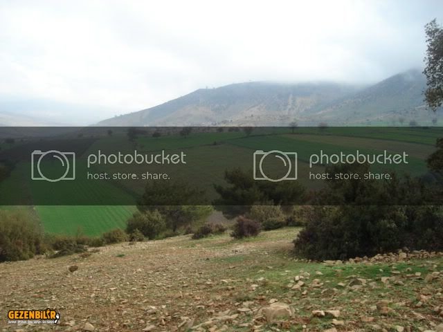 DSC02208.jpg