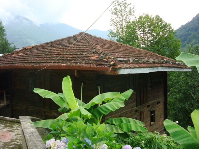 DSC02211.jpg