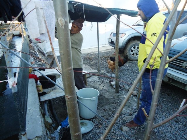 DSC02244.JPG