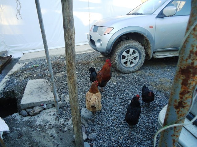 DSC02247.JPG