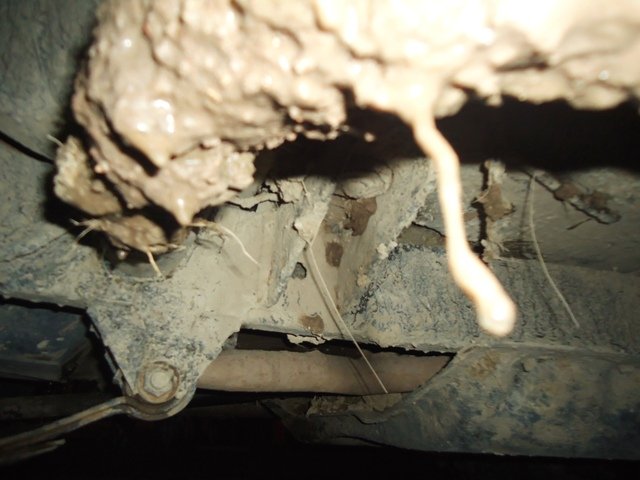 DSC02327.JPG