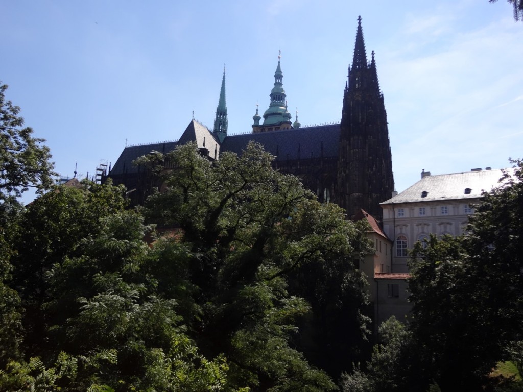 DSC02340 (Large).JPG