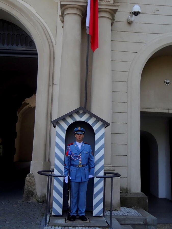 DSC02341 (Large).JPG