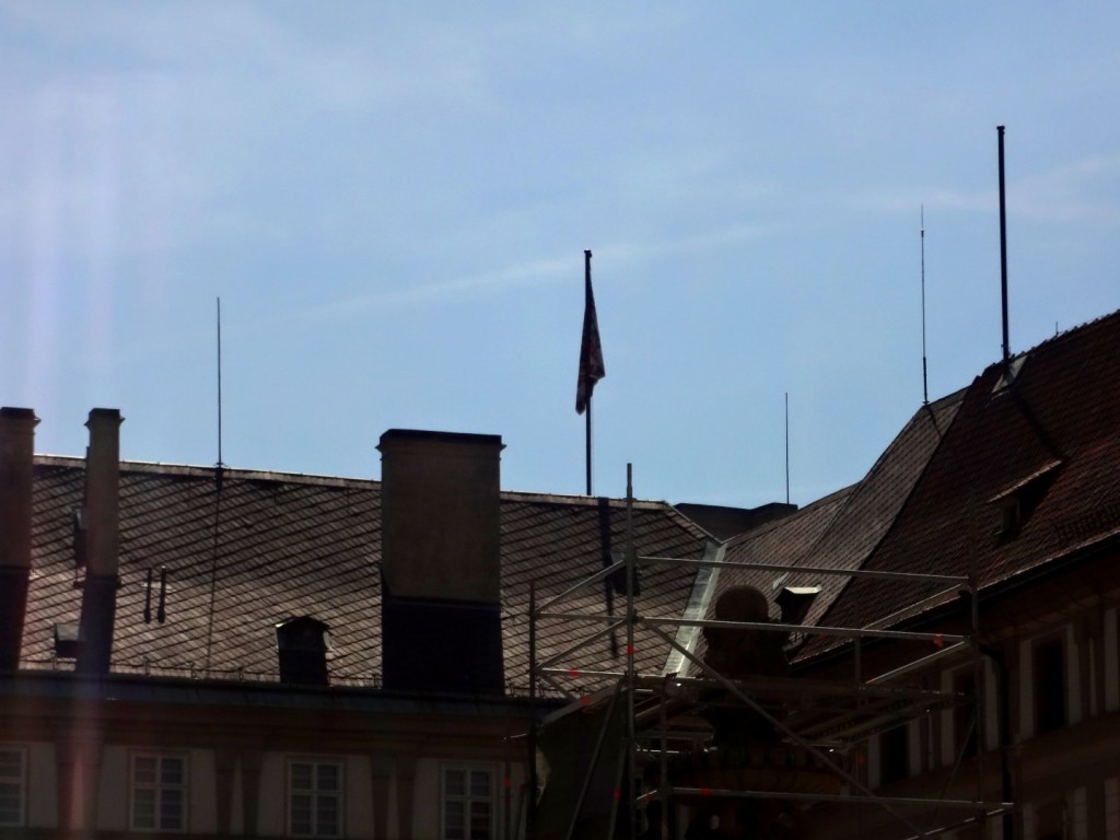 DSC02343 (Large).JPG