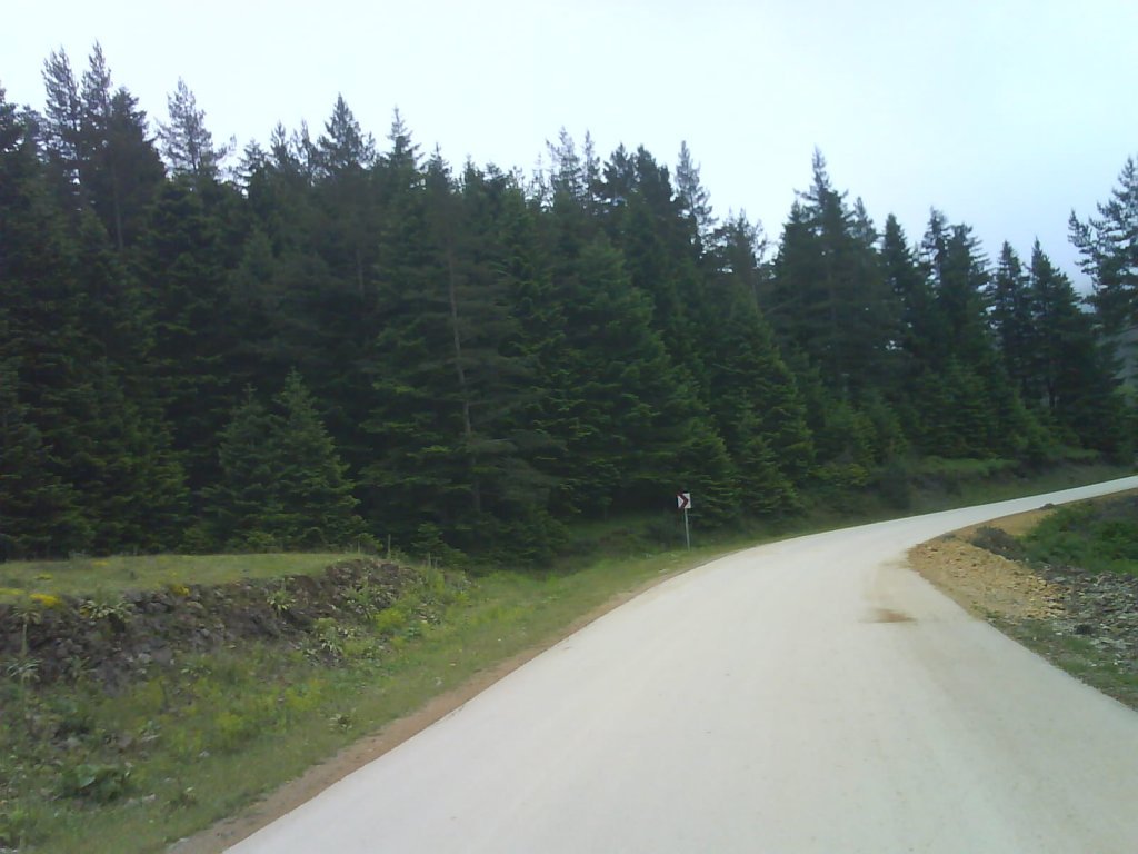 DSC02347.jpg