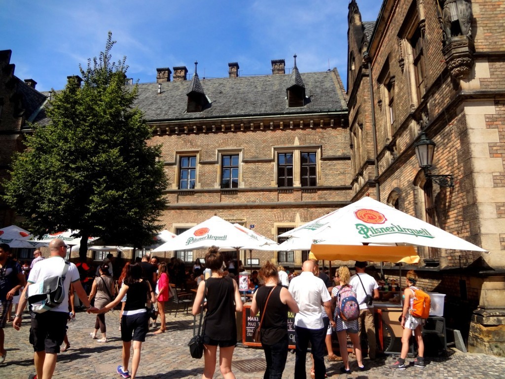 DSC02359 (Large).JPG