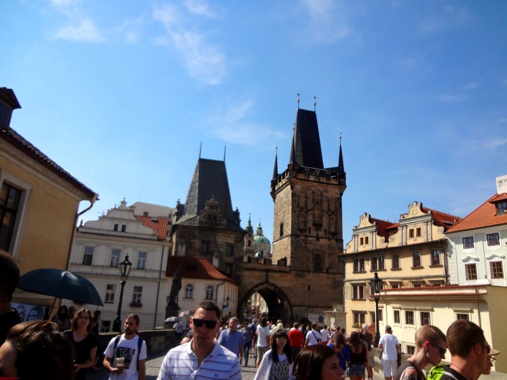 DSC02370 (Large).JPG
