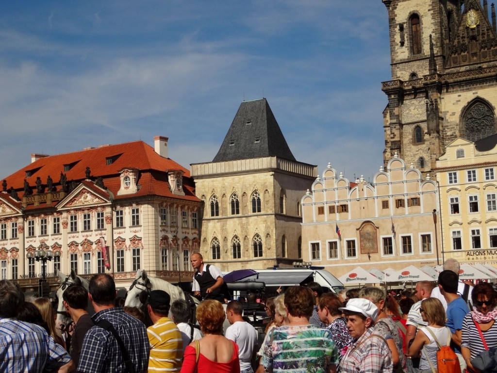 DSC02378 (Large).JPG