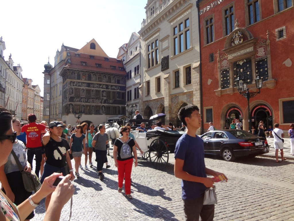 DSC02380 (Large).JPG