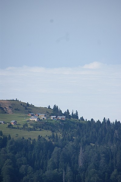 DSC02415.jpg