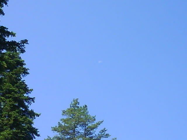 DSC02440.JPG